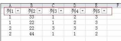 Excel2010中进行筛选数据的具体操作