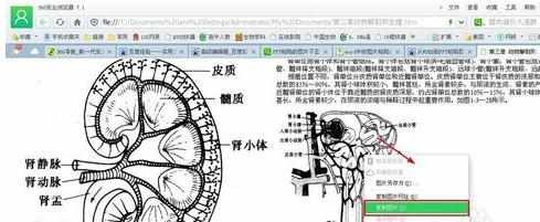 powerpoint图片不显示的解决方法