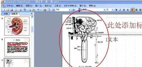 powerpoint图片不显示的解决方法