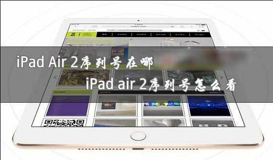 iPad Air 2序列号如何查看