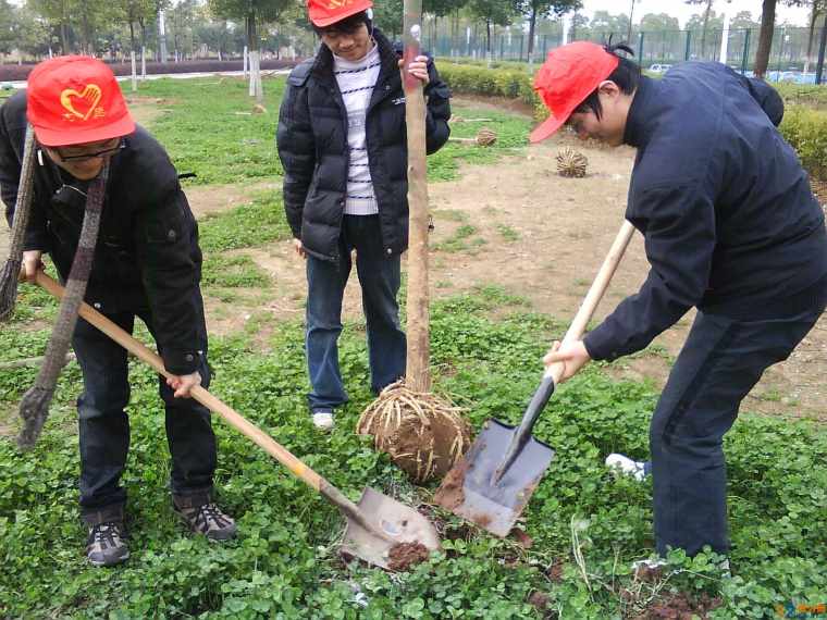 公司植树节活动方案 3.12企业植树节活动策划书