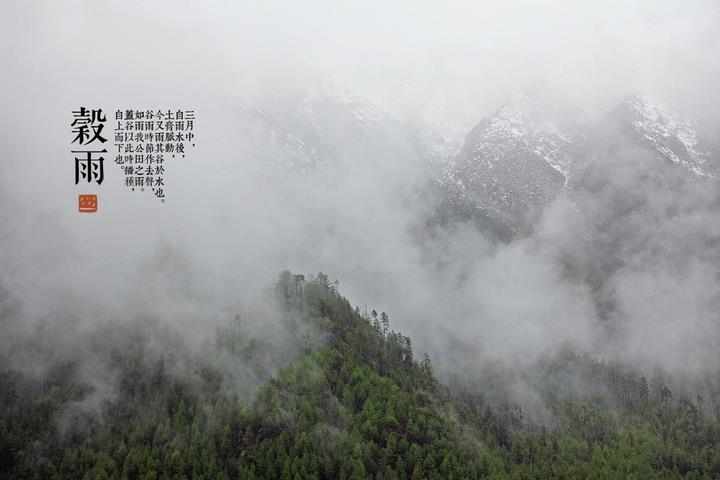 谷雨节气的图片_谷雨节气的图片大全