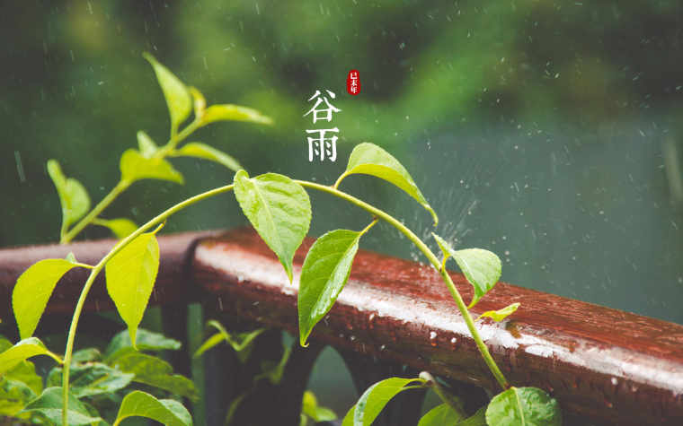 谷雨节气的图片_谷雨节气的图片大全