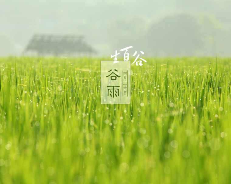 谷雨节气的图片_谷雨节气的图片大全