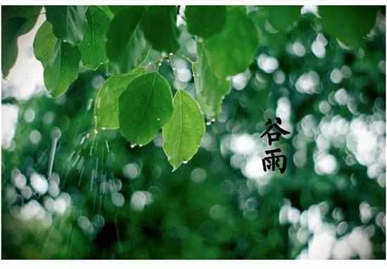 谷雨节气的图片_谷雨节气的图片大全