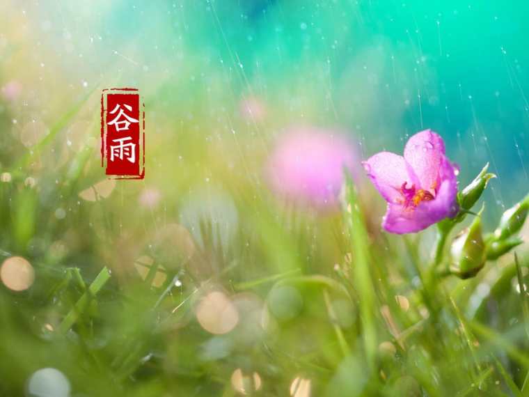 谷雨节气的图片_谷雨节气的图片大全