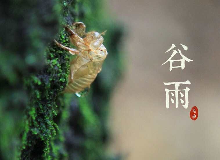 谷雨节气的图片_谷雨节气的图片大全