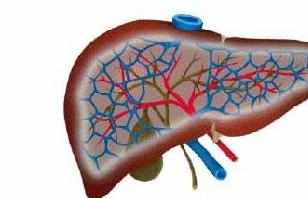 引发肝炎的原因 肝炎早期的症状
