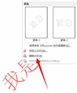 word2010怎么添加和删除文档水印