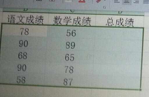 Excel中2007版进行求和操作的设置方法