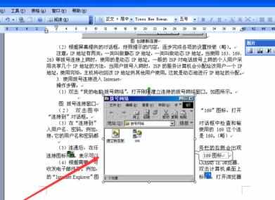 Word中进行设置图片格式的操作技巧