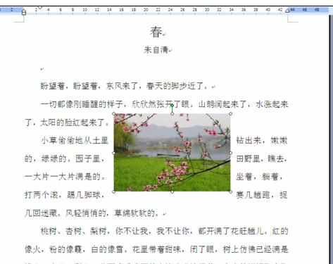 word批量将图片设置为四周型