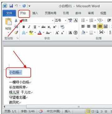 Word中2010版进行设置文档文字格式的操作技巧