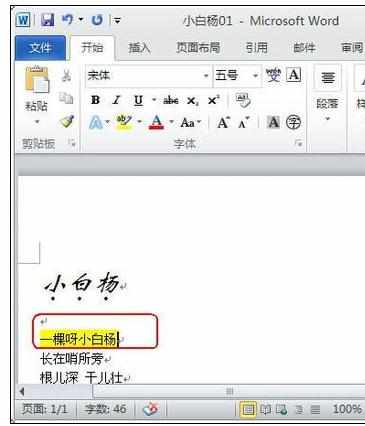 Word中2010版进行设置文档文字格式的操作技巧