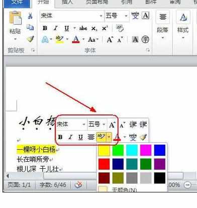 Word中2010版进行设置文档文字格式的操作技巧