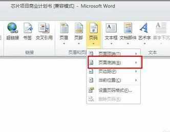 Word中2010版进行设置页码的操作使用