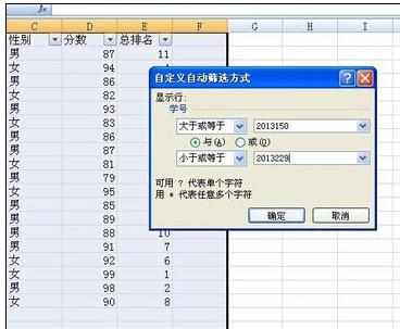 Excel中2010版进行筛选功能的操作使用