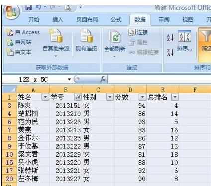 Excel中2010版进行筛选功能的操作使用