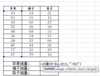 Excel中2010版进行利用工具表格有条件求和的操作技巧