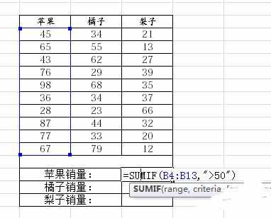 Excel中2010版进行利用工具表格有条件求和的操作技巧