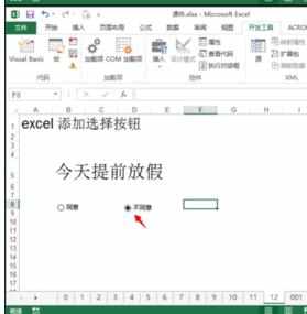 Excel中2013版进行添加选择框按钮的操作技巧