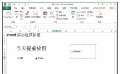 Excel中2013版进行添加选择框按钮的操作技巧