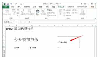 Excel中2013版进行添加选择框按钮的操作技巧