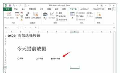Excel中2013版进行添加选择框按钮的操作技巧