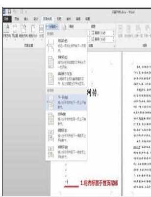 Word中2013版进行分段设置页码的操作方法