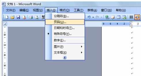 word2003如何设置页码左右