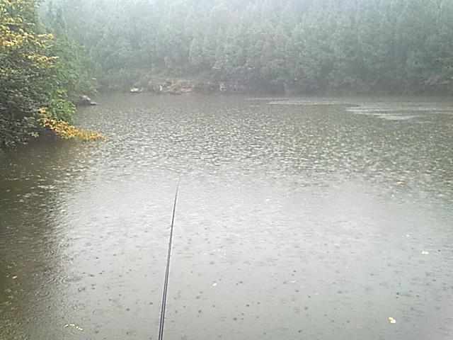 秋季雨天钓鱼技巧