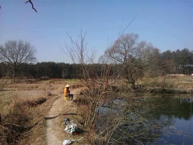 秋天野塘钓鱼技巧