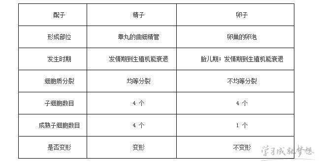 生物减数分裂和有丝分裂的知识点