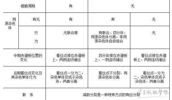 生物减数分裂和有丝分裂的知识点