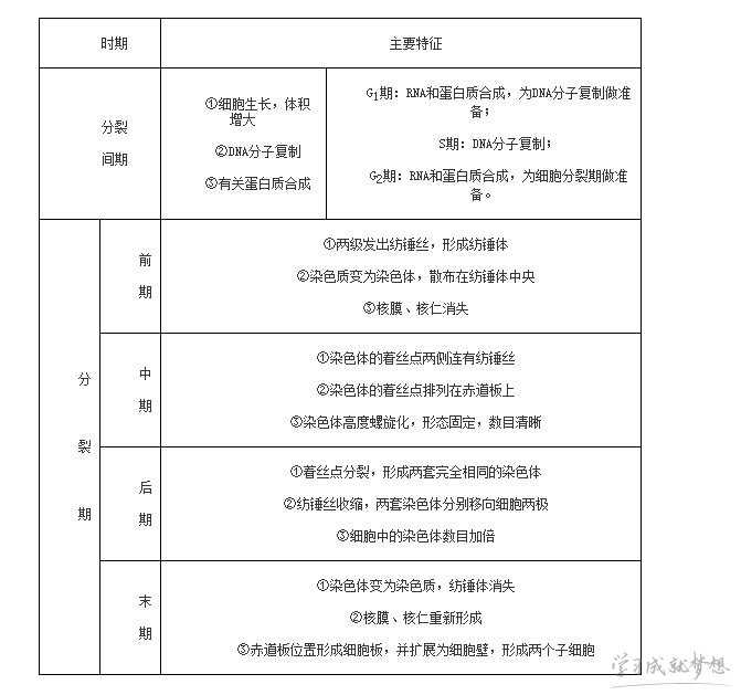 生物减数分裂和有丝分裂的知识点