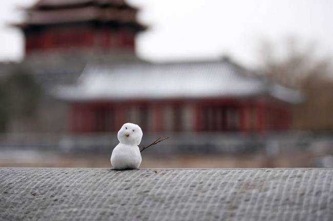 北京的这场雪让故宫变回故事里的紫禁城 