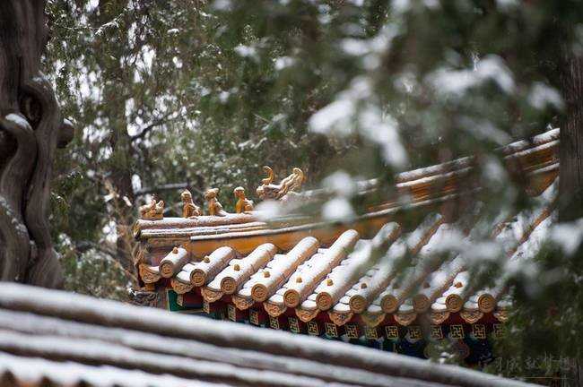 北京的这场雪让故宫变回故事里的紫禁城 