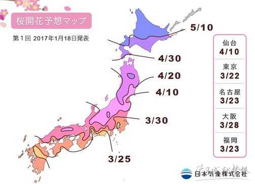 2017日本樱花什么时候开 日本樱花2017时间预测 日本樱花2017年花期