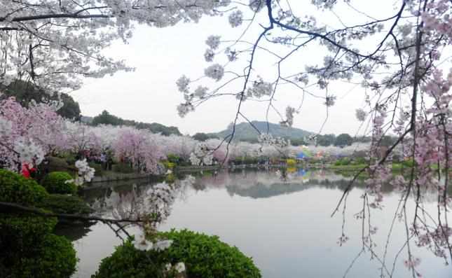 3月份去哪里旅游最好_3月份旅游地推荐