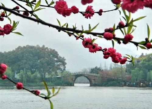 3月份去哪里旅游最好_3月份旅游地推荐