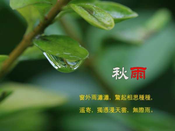 和秋雨有关的抒情散文