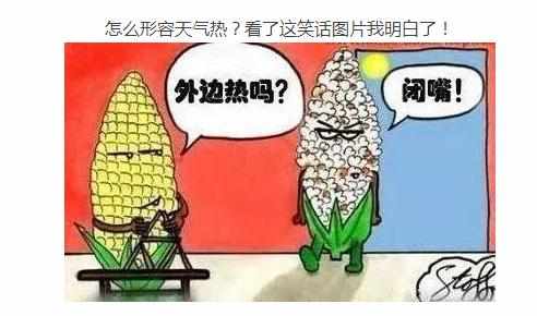 关于天气热的搞笑图片