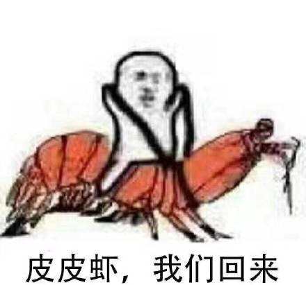 皮皮虾我们走是什么意思_皮皮虾我们走是什么梗