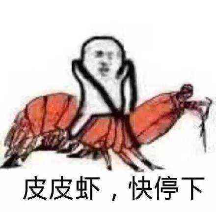 皮皮虾我们走是什么意思_皮皮虾我们走是什么梗