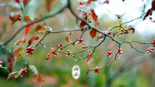 雨水节气的谚语 雨水节气民间俗语 雨水节气的诗句