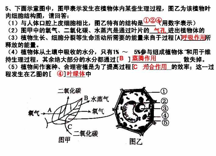 七年级上册生物实验题及答案