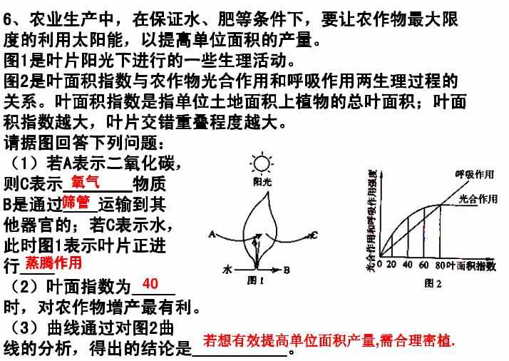 七年级上册生物实验题及答案