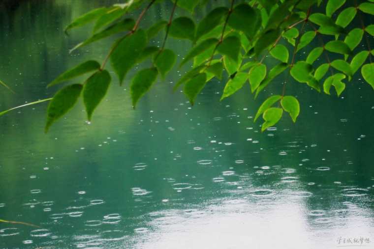 描写雨景的古诗句 关于雨景的古诗