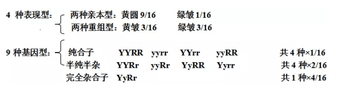 高中生物必修2第一章遗传因子的发现知识点归纳