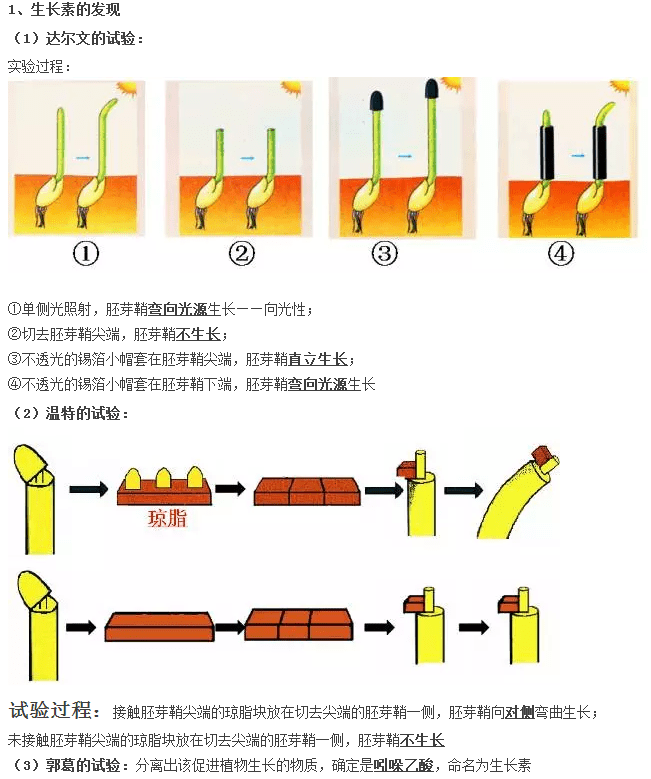 人教版高一生物必修三第三章植物的激素调节知识小结